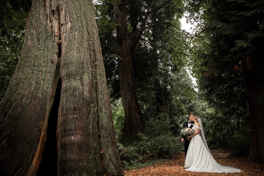D2761-Essense of Australia-Pure Bridal